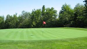 Image result for Newbury Lawn Tennis Club