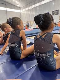 Image result for Kingston Trampoline Academy