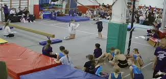 Image result for Torbay Olympic Gymnastics Club
