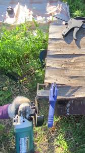 Картинки по запросу белку зажевало в диск