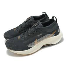 Image result for 水野X68仁義