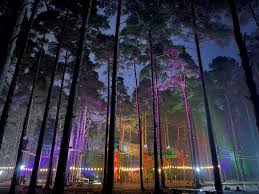 Image result for The Go Ape Experience (Swinley Forest)