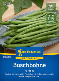 Image result for Buschbohnen