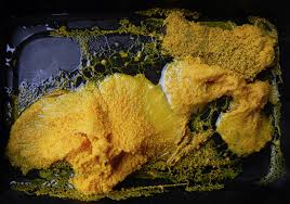 Attēlu rezultāti vaicājumam “Brefeldia maxima plasmodium”