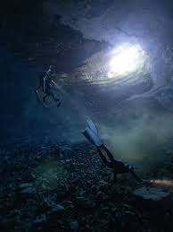 Image result for Notanx Freedive Club