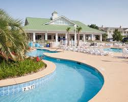 Image result for Harbour Lights Snorkelling Club (HLSC)