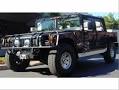 1999 Toyota MEGA Cruiser Pictures