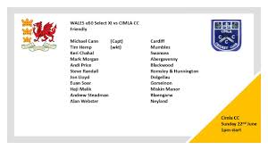 Image result for Cimla Cricket Club