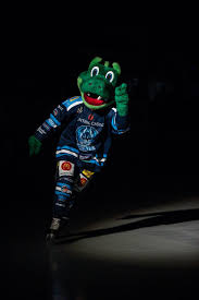 Image result for Coventry Dragons