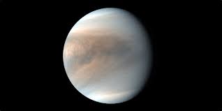 Image result for venus