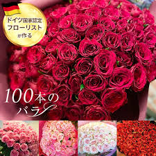 「花薔薇エルフ」の画像検索結果