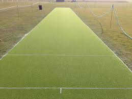 Image result for Caldy Cricket Club