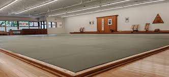 Image result for Matlock Aikido Club