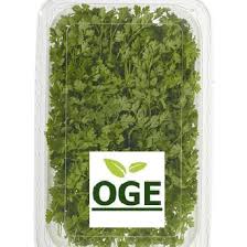 Image result for Kerbel