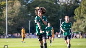 Image result for East Grinstead Town Football Club