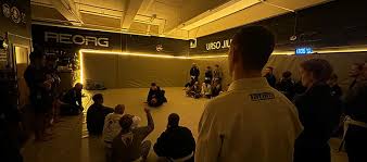 Image result for Basingstoke SMRTJ Jiu Jitsu