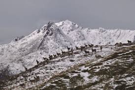 Image result for Nottingham University Mountaineering Club