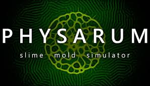 Attēlu rezultāti vaicājumam “Physarum daamsii”