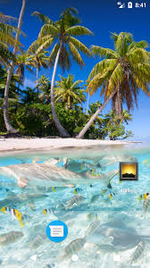 Image result for free wallpaper