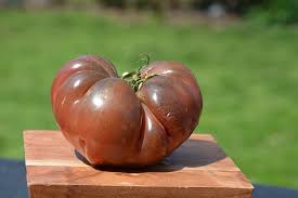 Afbeeldingsresultaat voor carbon tomato