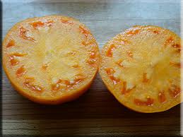 Afbeeldingsresultaat voor belarus orange tomato