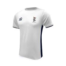Image result for Luctonians Cricket Club