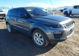 Image result for Sylvan Green 1981 Jaguar