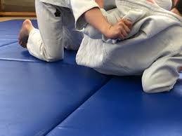 Image result for Sovereign Judo Club