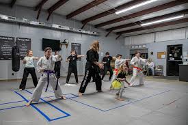Image result for Phoenix Martial Arts