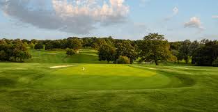 Image result for Chelmsford Gc
