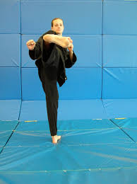 Image result for INTERNATIONAL HAPKIDO TAMWORTH