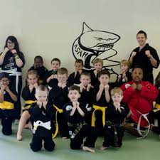 Image result for Action Karate