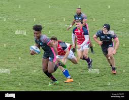 Image result for Bury St Edmunds Rugby Union Football Club