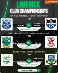 Image result for University Of Limerick Gaa Hurling Club