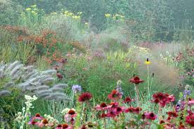 Image result for Piet Oudolf