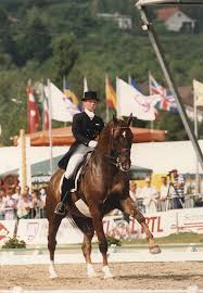 Image result for Uwe Riding Club