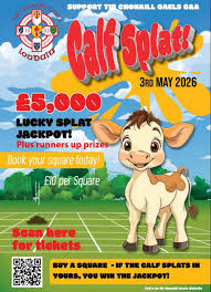 Image result for Tir Chonaill Gaels G A A Club