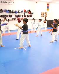 Image result for Turners Tae Kwon Do