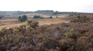 Image result for The Chobham Common Riders Association