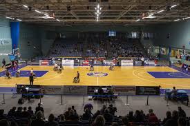 Image result for Worcester Wolves Basketball Club