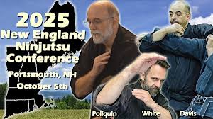 Image result for Central London Ninjutsu