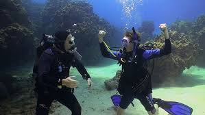Image result for Blue Water Diving