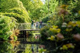Image result for Arboretum Trompenburg