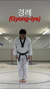 Image result for Hed Tkd (Dorking Tae Kwon-Do)
