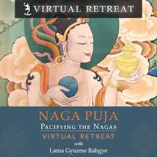 Kuvahaun tulos haulle nagas