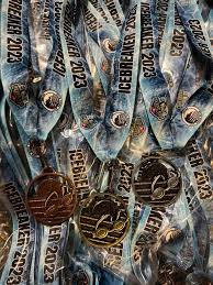 Image result for Dover Lifeguard Sc