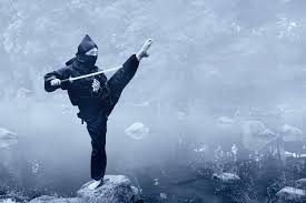 Image result for Central London Ninjutsu