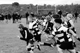 Image result for Luctonians Cricket Club