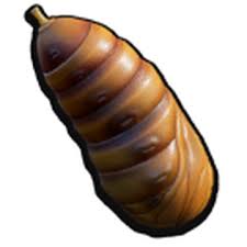 Attēlu rezultāti vaicājumam “pupa”