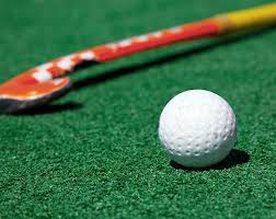 Image result for Whitchurch Hockey Club